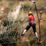 Escalada libre, escalada, telaraña, no seguro, escalador, con cuerda, no seguro, no seguro, no seguro, no seguro, seguro