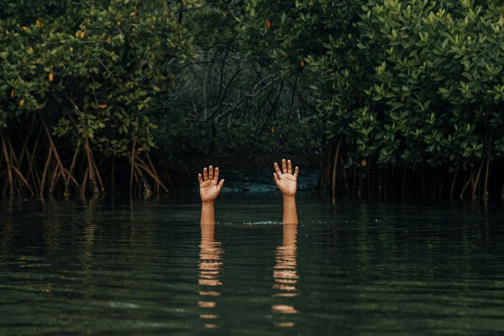 Manos misteriosas se levantan de las exuberantes aguas de los manglares, evocando temas surrealistas y conceptuales.