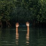 Manos misteriosas se levantan de las exuberantes aguas de los manglares, evocando temas surrealistas y conceptuales.