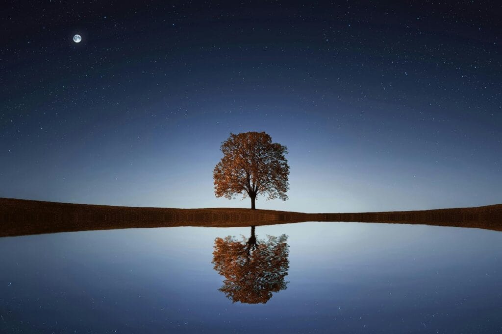 Paisaje nocturno sereno con un árbol solitario que se refleja en aguas tranquilas bajo un cielo estrellado.