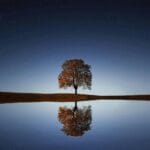 Paisaje nocturno sereno con un árbol solitario que se refleja en aguas tranquilas bajo un cielo estrellado.