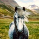 Un hermoso caballo en un pasto verde vibrante con un impresionante telón de fondo de montaña.